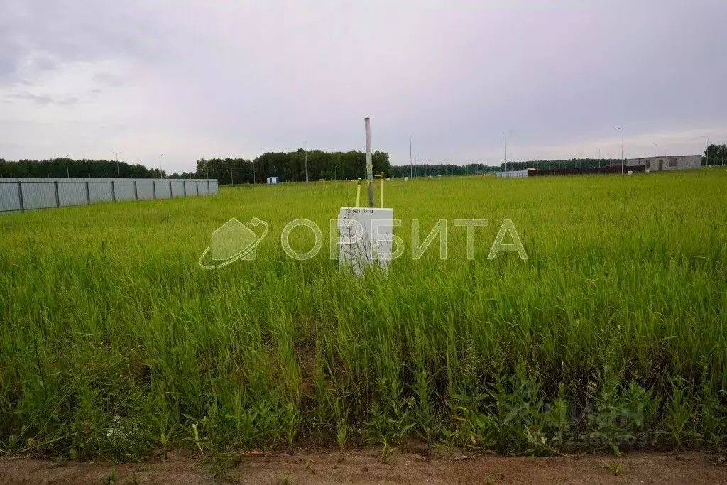 Участок в Тюменская область, Тюменский муниципальный округ, ... - Фото 1