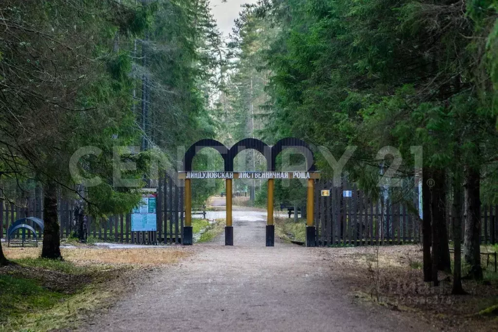 Дом в Ленинградская область, Выборгский район, Рощино пгт ул. ... - Фото 2