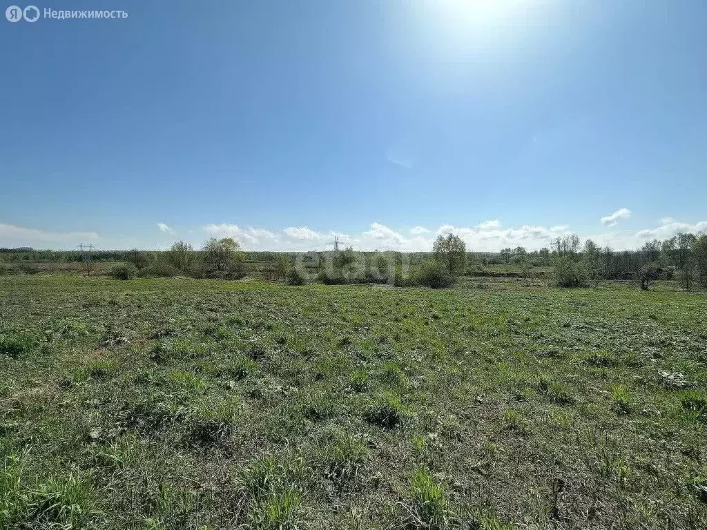 Участок в Нижегородская область, Богородский муниципальный округ, ... - Фото 0