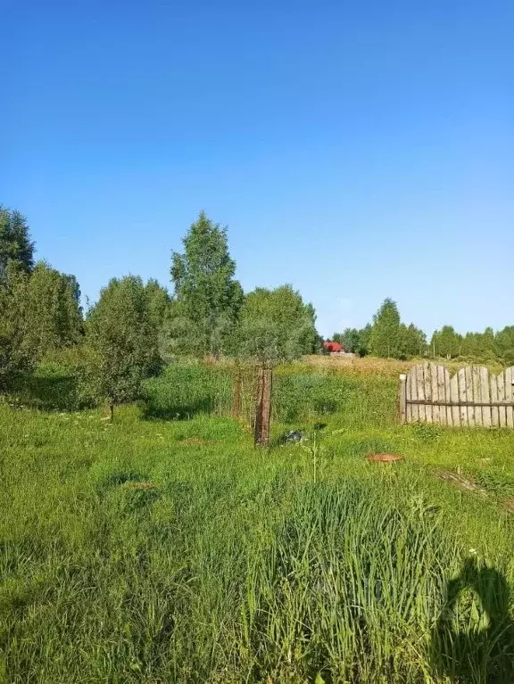 Дом в Ярославская область, Некрасовский муниципальный округ, д. ... - Фото 2