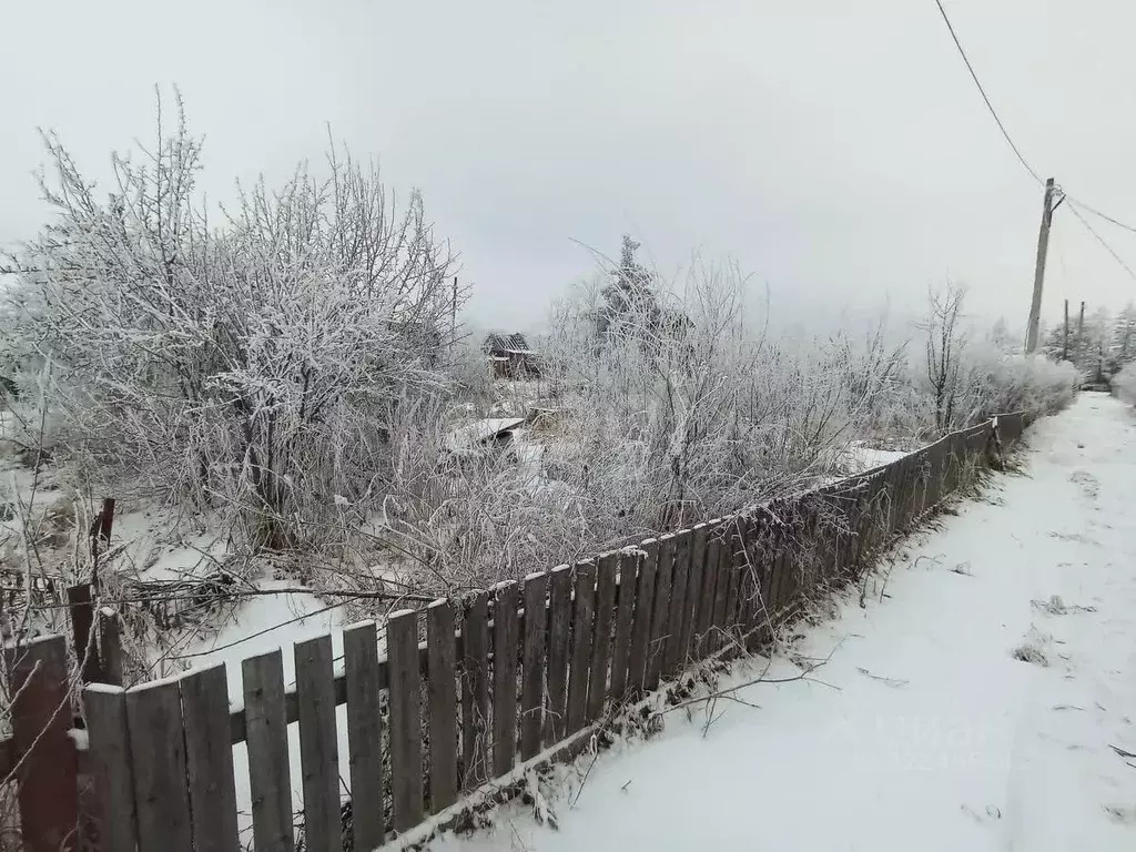 Участок в Вологодская область, Вишня садоводческое товарищество аллея ... - Фото 1