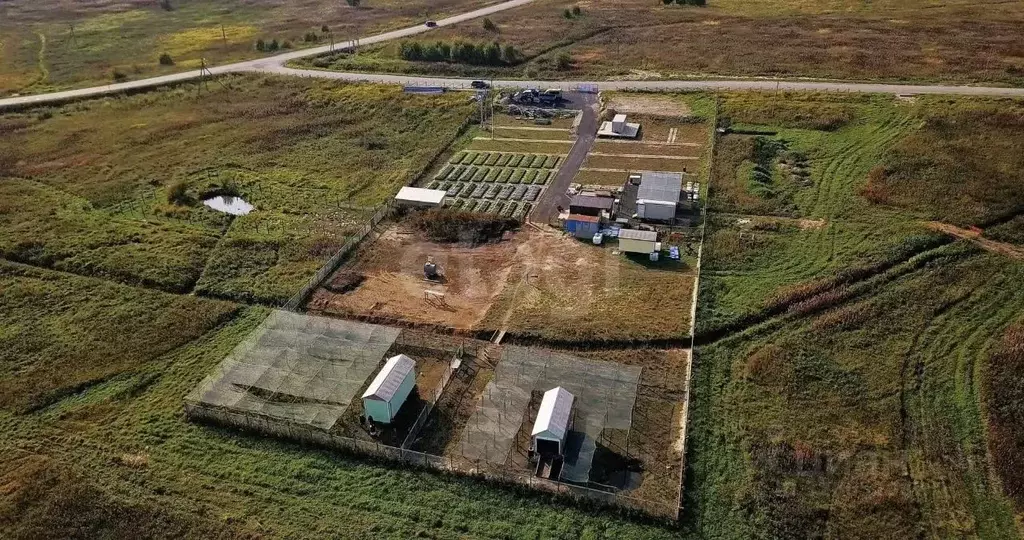 Участок в Ленинградская область, Ломоносовский район, Низинское с/пос, ... - Фото 1