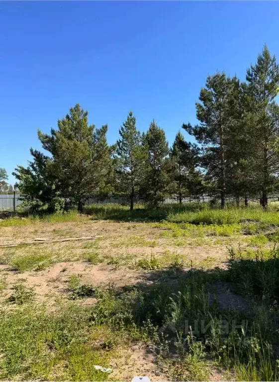 Участок в Самарская область, Красноярский район, Светлое Поле с/пос, ... - Фото 1