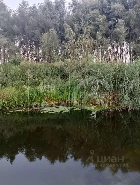 Участок в Воронежская область, Воронеж пер. Речной, 25 (8.0 сот.) - Фото 2
