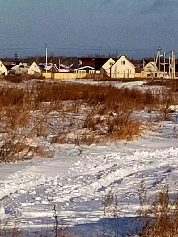 Участок в Омская область, Омский район муниципальный округ, с. ... - Фото 1