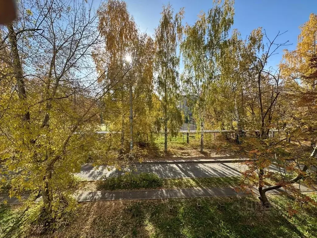 3-к кв. Татарстан, Казань Парковая ул., 14 (63.0 м) - Фото 1