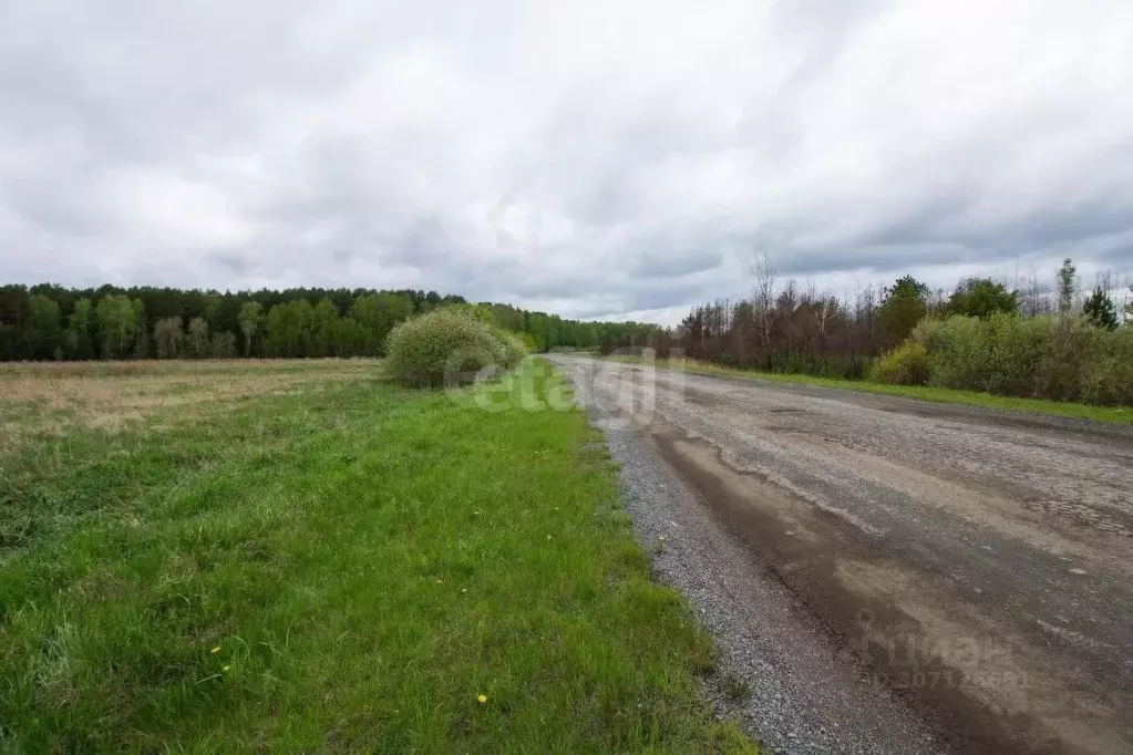 участок в тюменская область, тюменский район, с. салаирка (9.0 сот.) - Фото 1