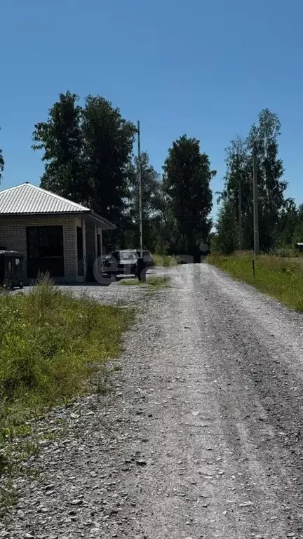 Участок в Новосибирская область, Искитимский район, Быстровский ... - Фото 1