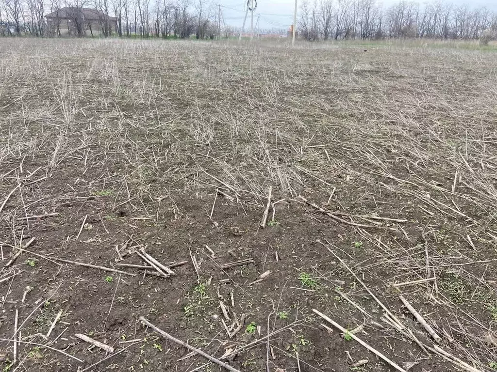 Участок в Ростовская область, Мясниковский район, с. Большие Салы ул. ... - Фото 2