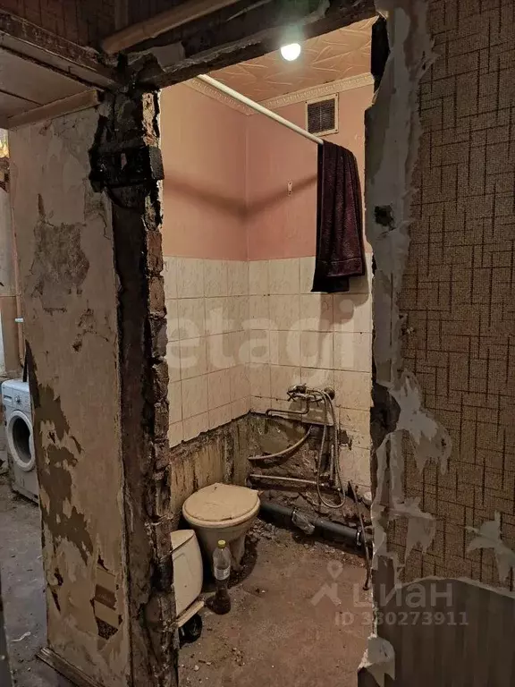 1-к кв. Татарстан, Альметьевск ул. Белоглазова, 46 (28.0 м) - Фото 1