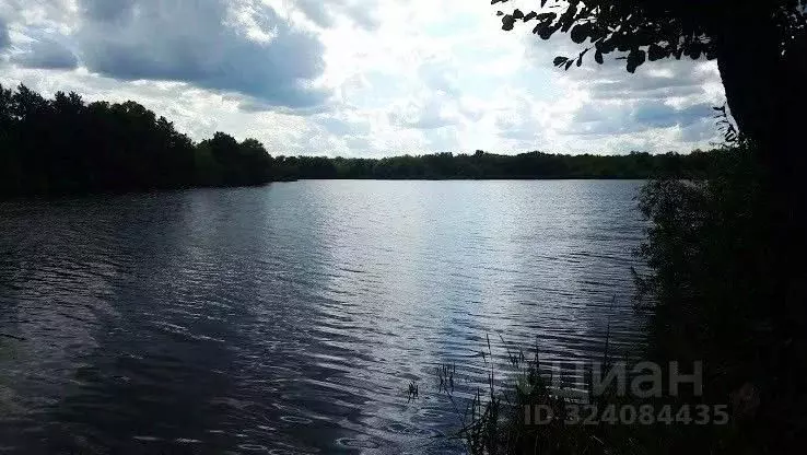 Участок в Ульяновская область, Ульяновск Залив-2 СНТ,  (6.0 сот.) - Фото 1