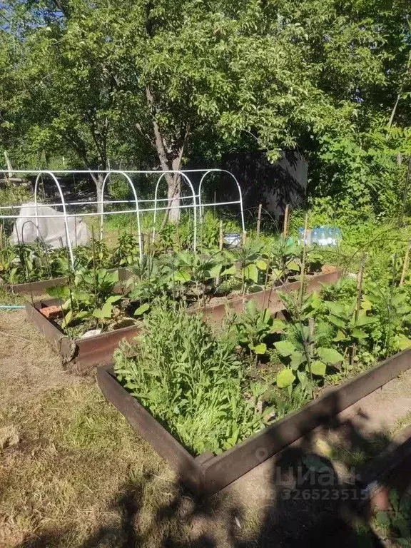 Участок в Нижегородская область, Нижний Новгород СНТ Маяк-Приокский ... - Фото 1