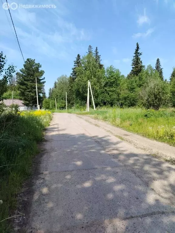 Участок в деревня Кандинка, Сибирская улица (12.38 м) - Фото 2