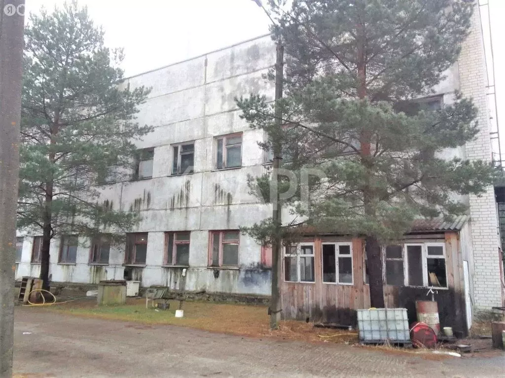 Производственное помещение (1500 м) - Фото 2