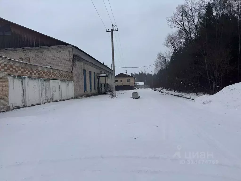 Помещение свободного назначения в Смоленская область, Гагарин ... - Фото 1