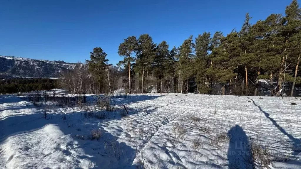 Участок в Алтай, Чемальский район, Элекмонарское с/пос, с. Элекмонар  ... - Фото 2