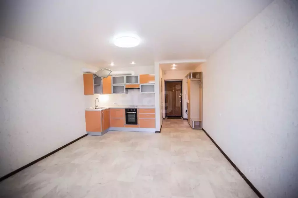 Студия Амурская область, Благовещенский район, с. Чигири ул. ... - Фото 1