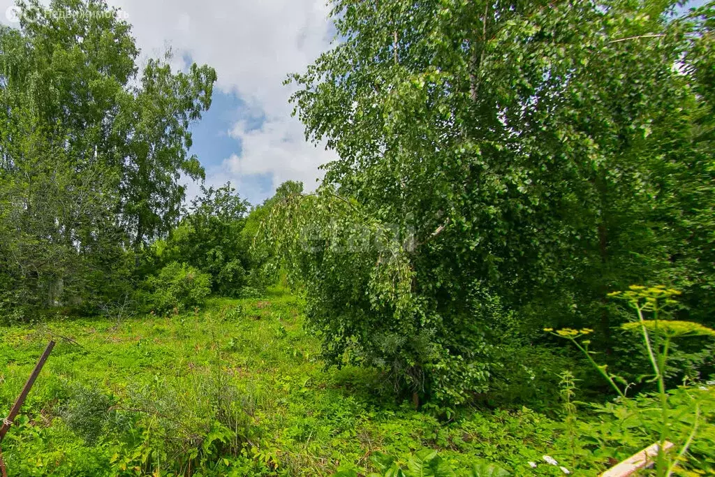 Участок в Томск, садовое товарищество Возрождение (7 м) - Фото 1