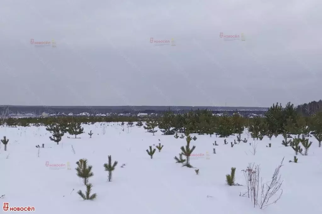 Участок в Свердловская область, Березовский городской округ, пос. ... - Фото 0