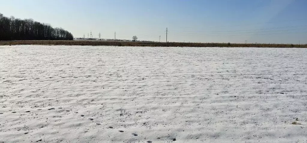 Участок в Московская область, Луховицы  (34.0 сот.) - Фото 1