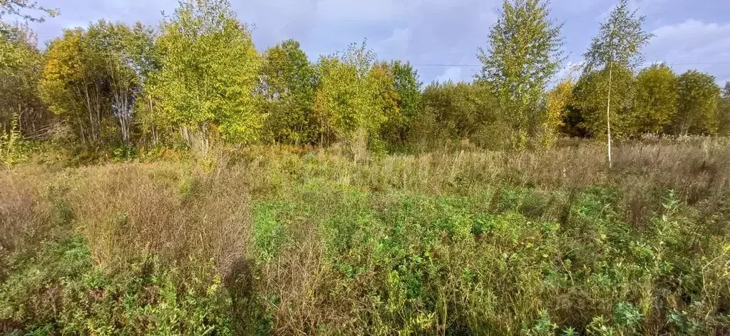 Участок в Вологодская область, Шекснинский муниципальный округ, д. ... - Фото 1