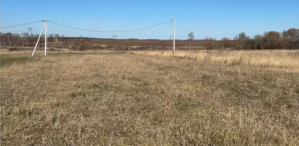 Участок в Московская область, Кашира городской округ, д. Никулино  ... - Фото 0