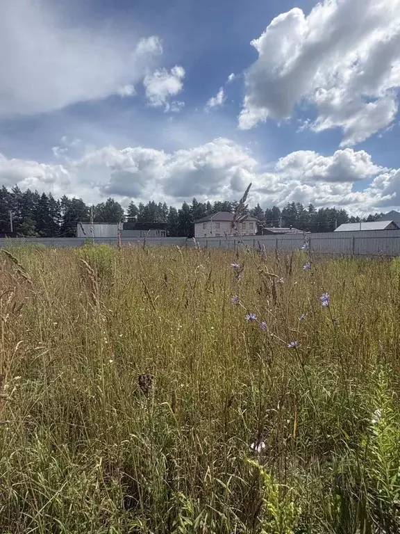 Участок в Московская область, Щелково городской округ, Литвиново Парк ... - Фото 2