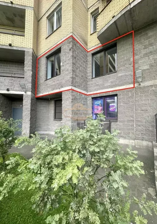 Офис в Санкт-Петербург Двинская ул., 8К3 (103 м) - Фото 2