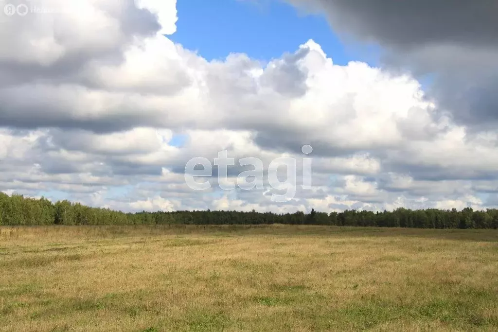 Участок в Омутинский район, деревня Медвежка (12400 м) - Фото 0