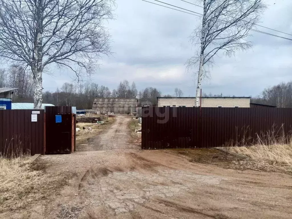 Склад в Псковская область, Пустошка Вокзальная ул., 38 (5690 м) - Фото 1