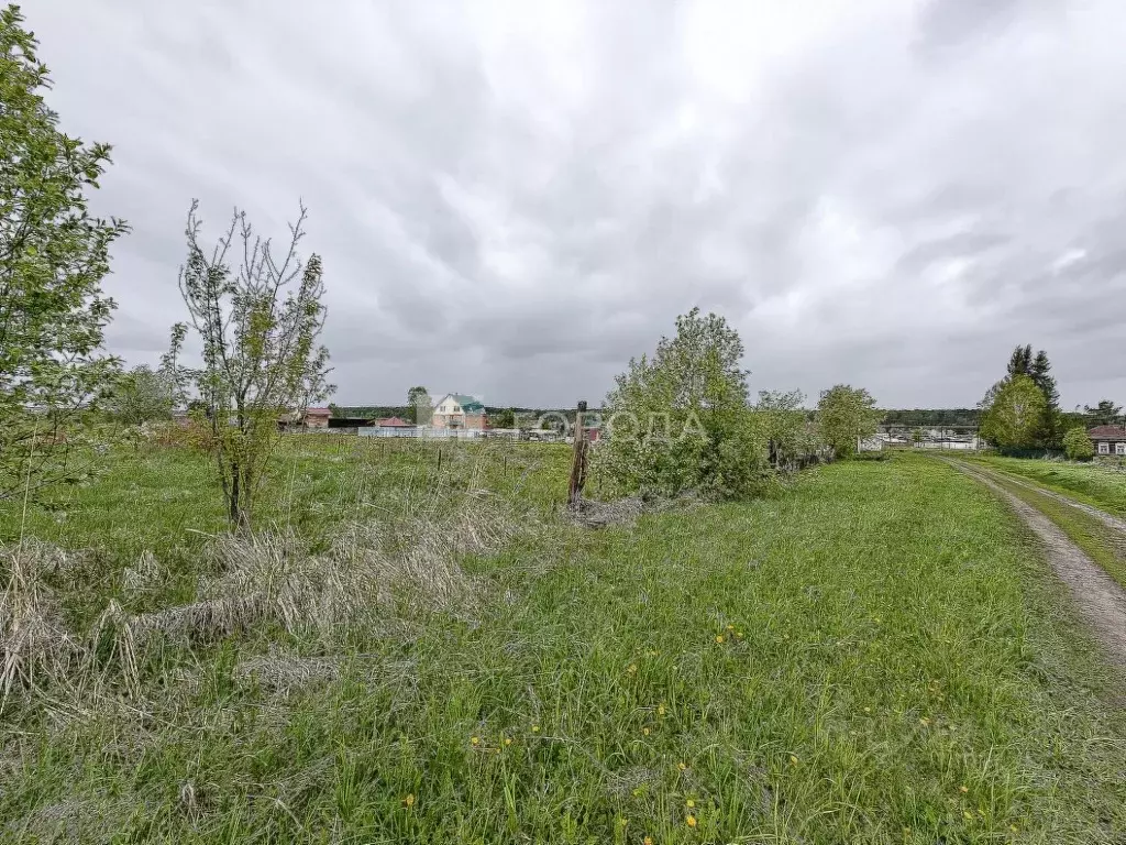 Участок в Новосибирская область, Тогучинский район, Репьевский ... - Фото 2