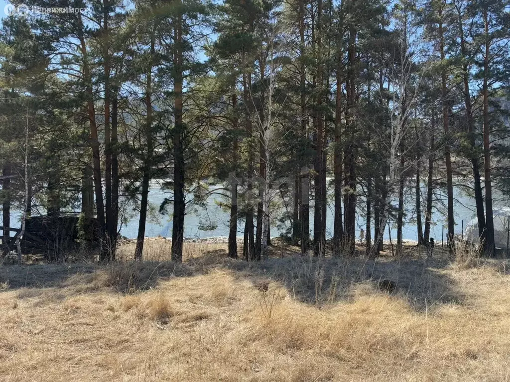 Участок в Чемальский район, Узнезинское сельское поселение, территория ... - Фото 1