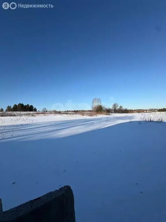 Дом в Усть-Ницинское сельское поселение, деревня Бурмакина, Южная ... - Фото 2