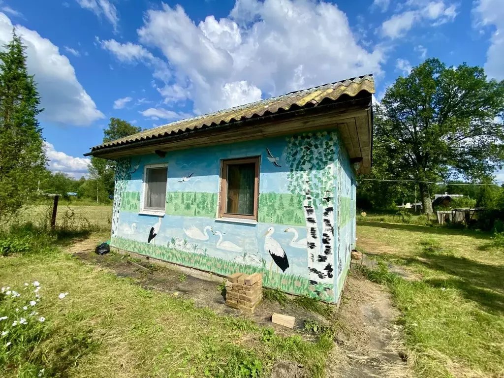 Дом в Псковская область, Гдовский район, Добручинская волость, д. ... - Фото 1