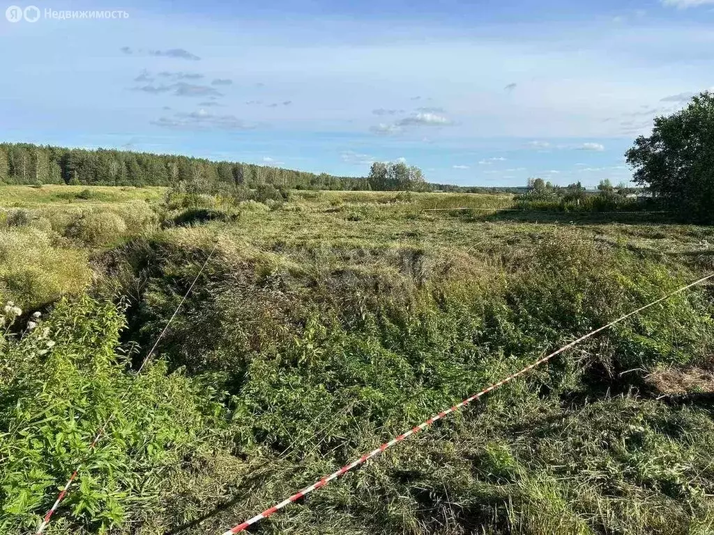 Участок в Тугулымский городской округ, деревня Гилёва, Первомайская ... - Фото 1