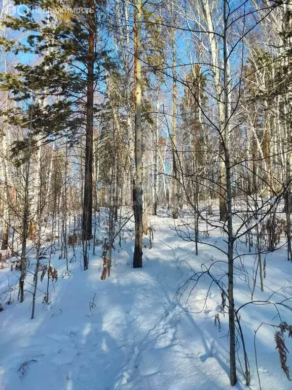 Участок в Иркутский муниципальный округ, деревня Новолисиха (11.2 м) - Фото 0