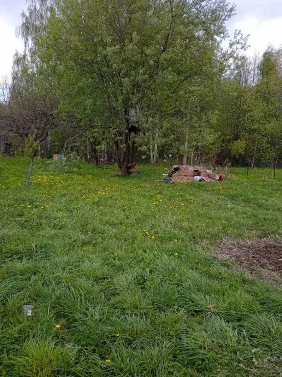 Дом в Нижегородская область, Нижний Новгород городской округ, д. ... - Фото 1