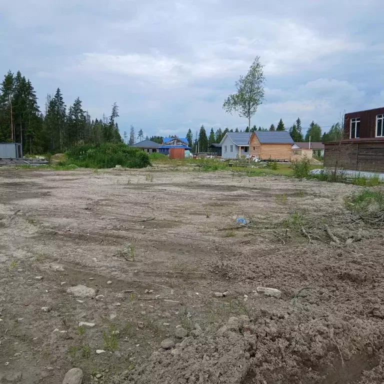 Участок в Ленинградская область, Всеволожский район, Агалатовское ... - Фото 1