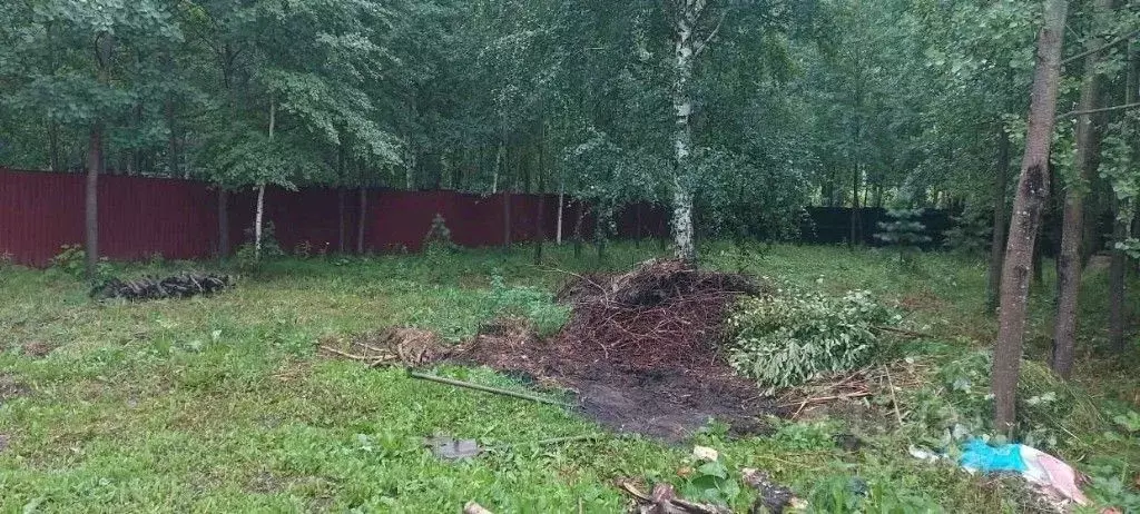 Участок в Тюменская область, Тюмень Звенящие Кедры Тюмени ДНП,  (4.0 ... - Фото 1