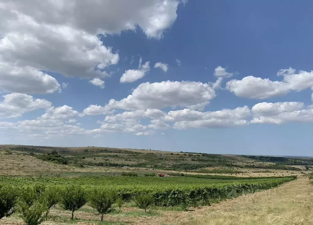 Участок в Краснодарский край, Анапа муниципальный округ, пос. ... - Фото 0