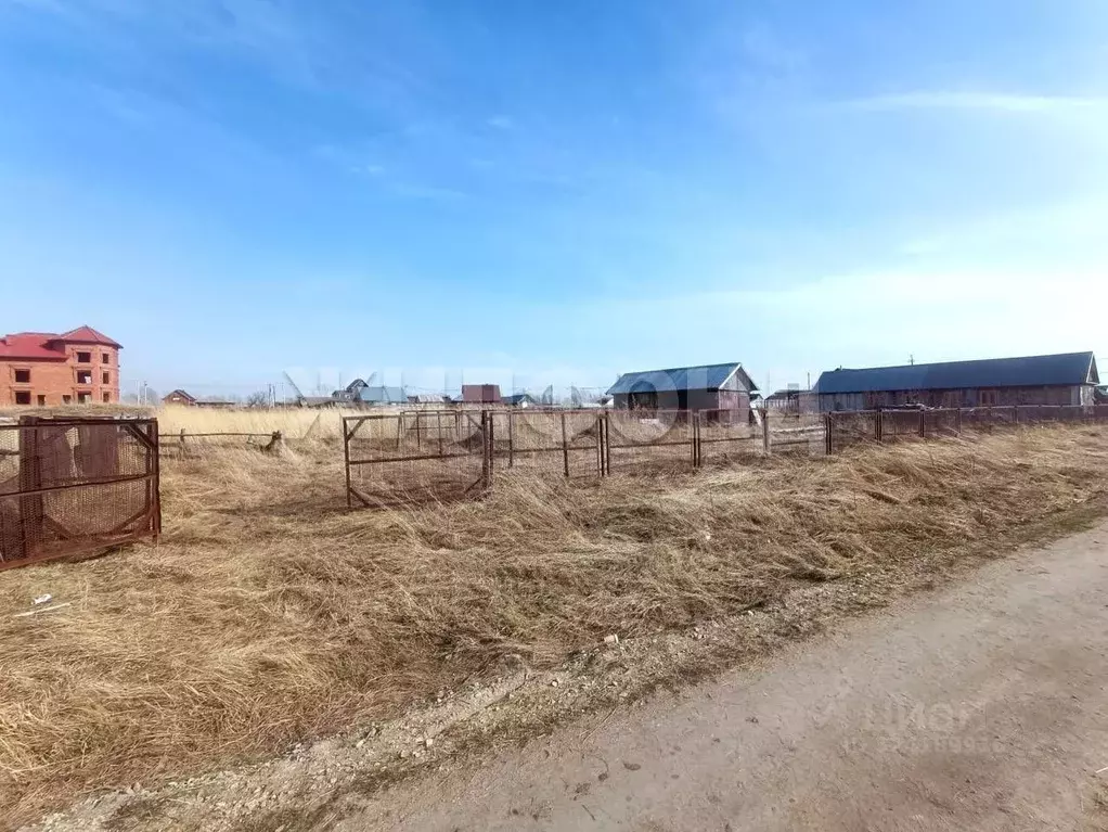 Участок в Новосибирская область, Колыванский район, д. Чаус ул. ... - Фото 1