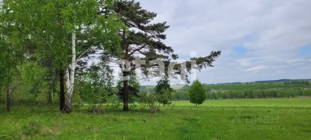 участок в красноярский край, емельяновский район, шуваевский . - Фото 1