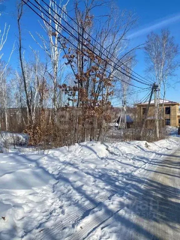 Участок в Амурская область, Благовещенск городской округ, пос. ... - Фото 1