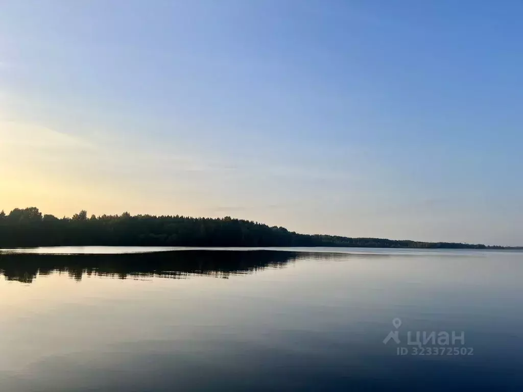 Дом в Санкт-Петербург, Санкт-Петербург, Сестрорецк Разлив СНТ, дорожка ... - Фото 2