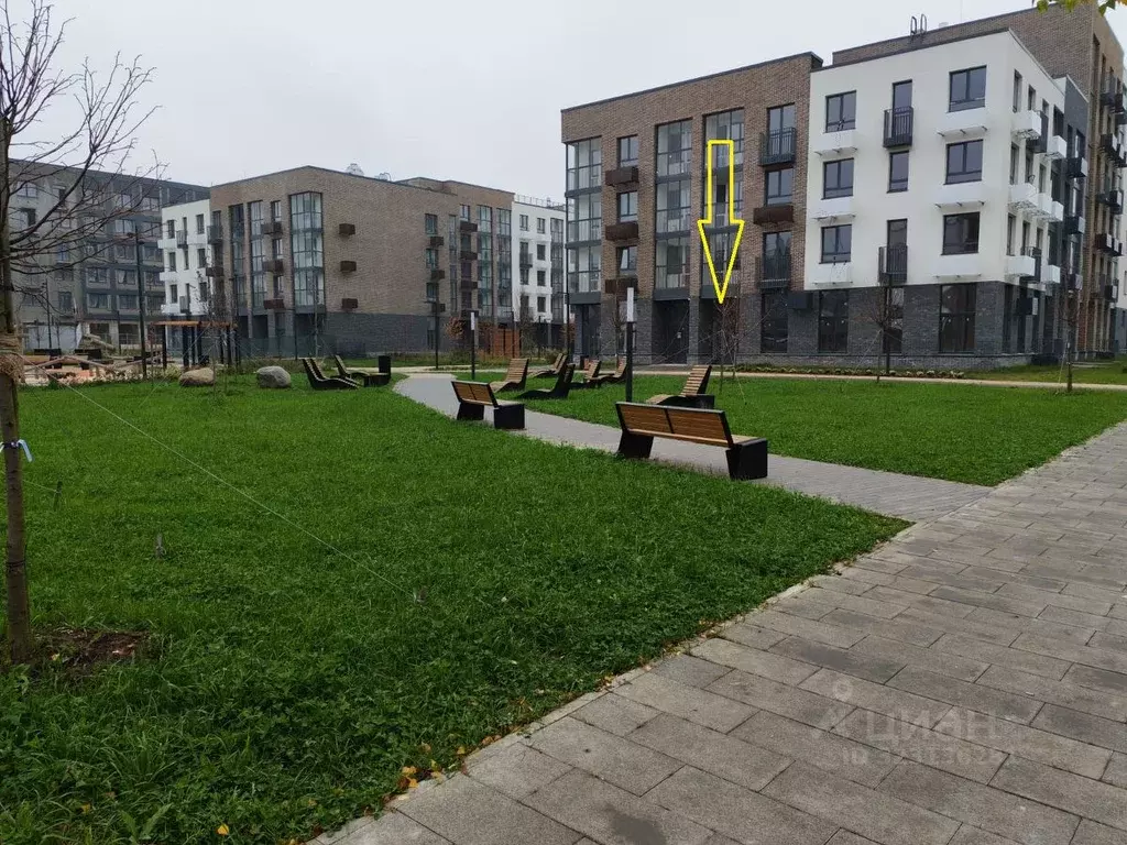 Помещение свободного назначения в Московская область, Одинцовский ... - Фото 1