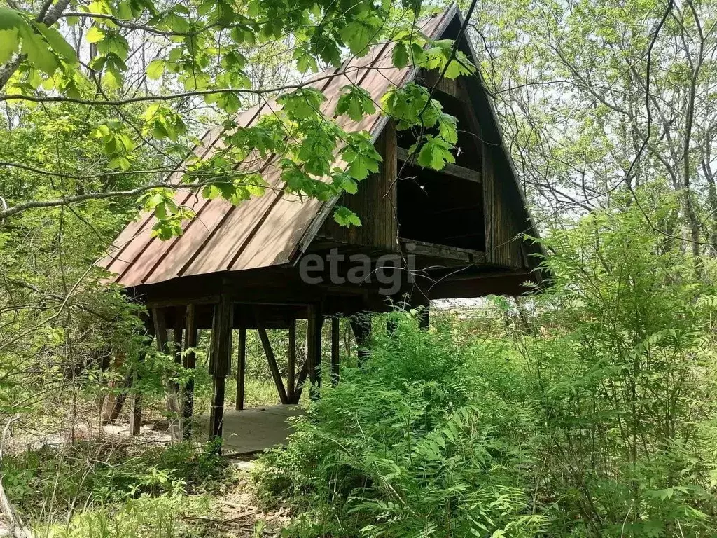 Участок в Приморский край, Надеждинский район, Голубая Нива СДТ 205 ... - Фото 1