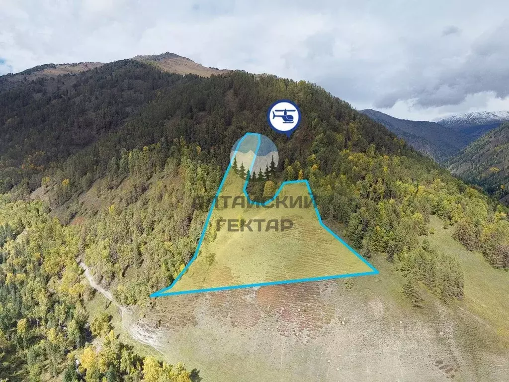 Участок в Алтай, Усть-Коксинский район, с. Кастахта Центральная ул. ... - Фото 1