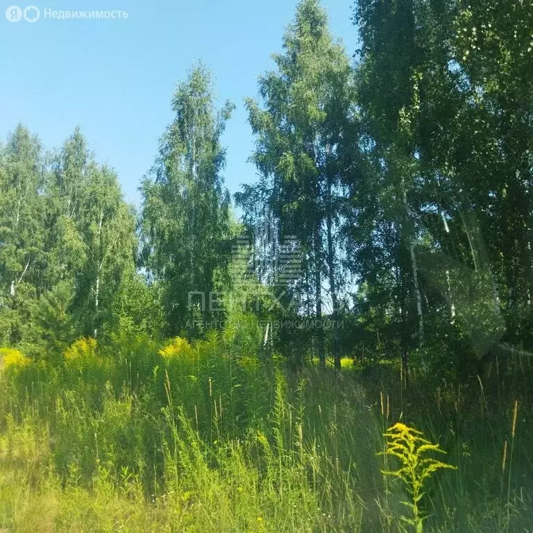 Участок в Владимир, сад Заречье, 83 (10 м) - Фото 0