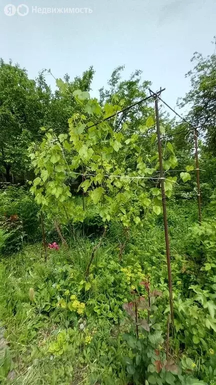 Участок в Нижний Новгород, Приокский район, СНТ Дружба (4.5 м) - Фото 2
