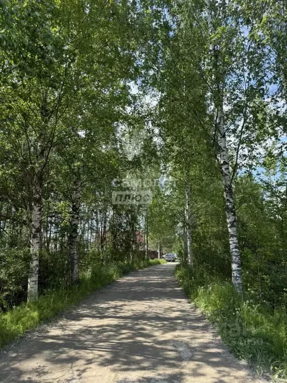 Участок в Ленинградская область, Тосно г. Тосненский район, Тосненское ... - Фото 2